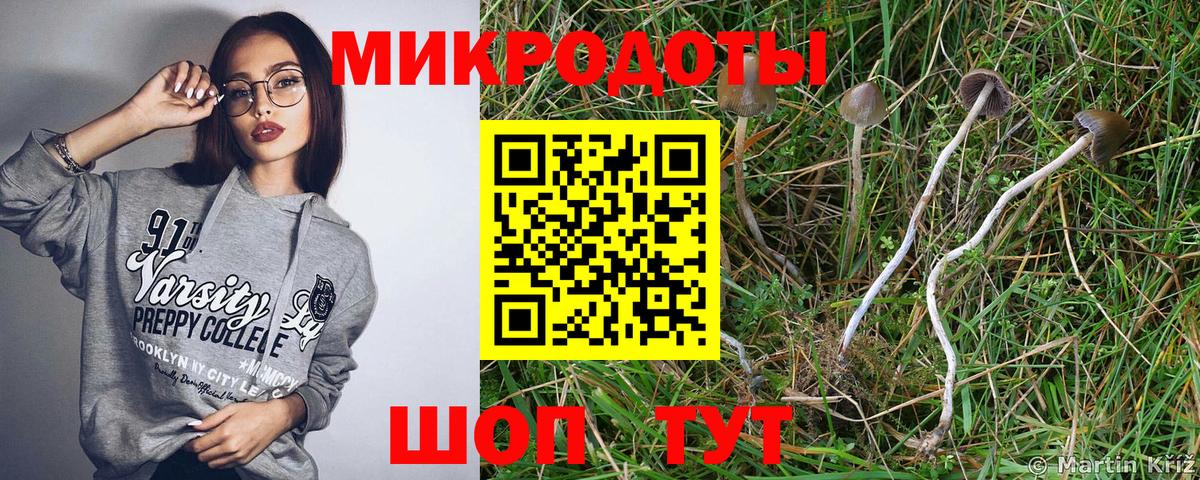 Галлюциногенные грибы мухоморы  Вход с VPN  Острогожск  Псилоцибиновые грибы Psilocybe 