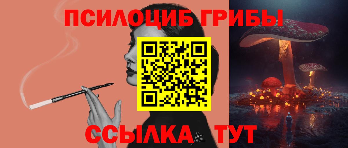 Галлюциногенные грибы прущие грибы  Острогожск 